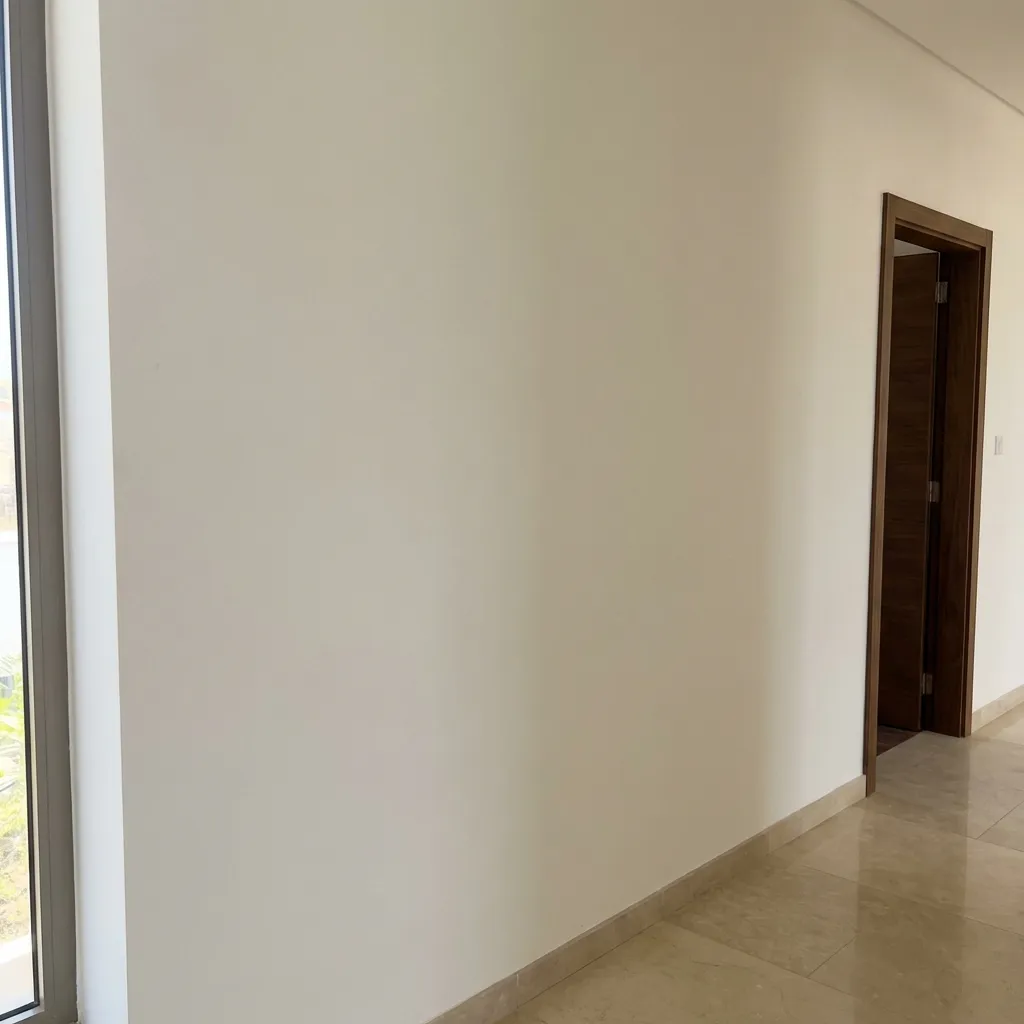 Premium Smooth Wall Finishing